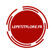 (c) Lepetitflore.fr